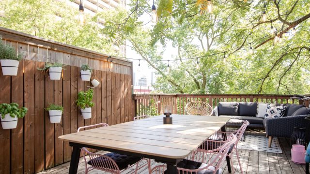 Transforming Small Spaces: Innovative Ways to Showcase Plants