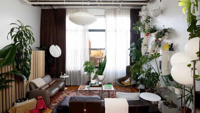 Transform Your Space Instantly: The Allure of Quick DIY Projects