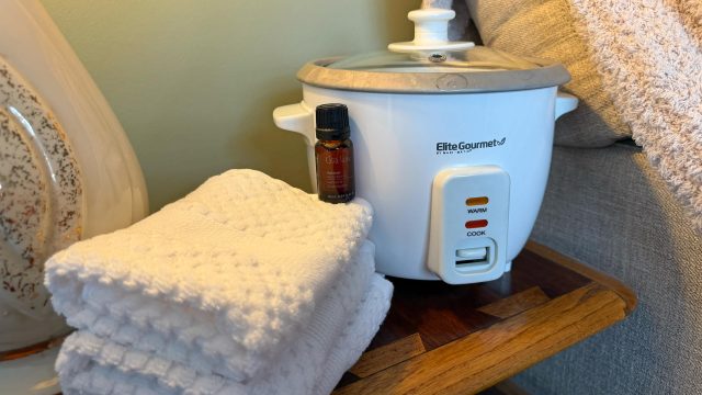 Transform Your Home Spa Experience with a Rice Cooker