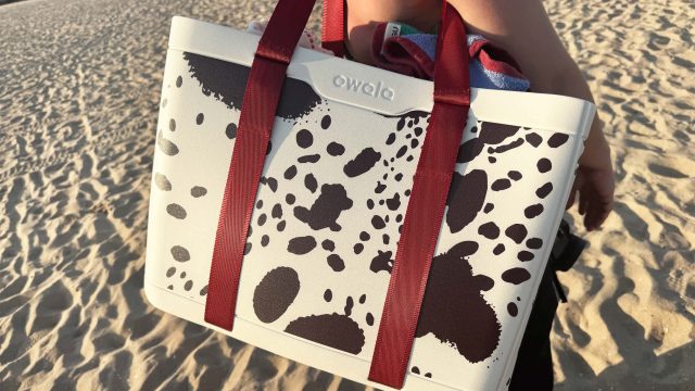 The Ultimate Beach Companion: Discovering Versatile Tote Bags
