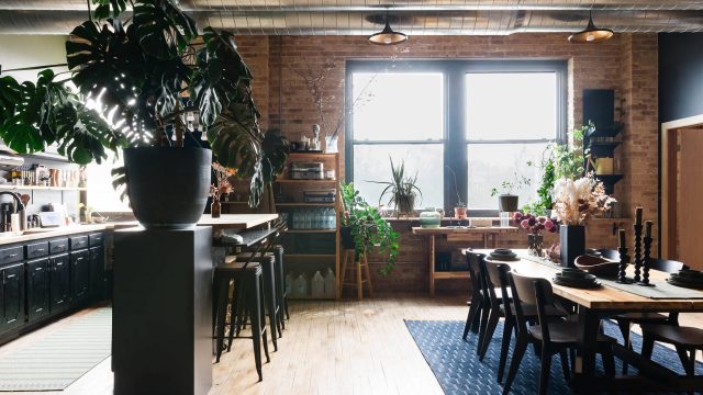Transform Your Loft with a Stylish Planter Room Divider