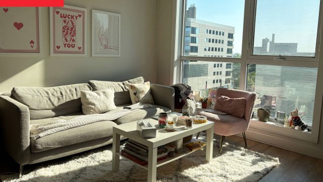 Discover the Surprising Benefits of Decluttering with Photography
