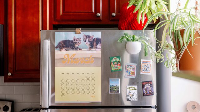 Innovative Freezer Storage Solutions: Maximizing Space with Dollar Store Finds