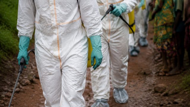 Surge in Ebola Cases in Congo Raises Global Health Concerns | rtp talibet, tukang urut 2d togel