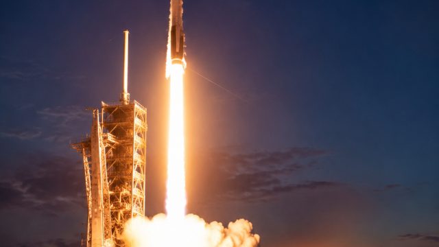 SpaceX Stock Surges After Dipping Below $150: A Market Analysis | ronaldo4d slot, angka keluar hongk