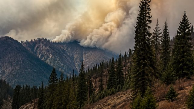 Lytton Wildfire Update: Evacuations Lifted as Fire Status Improves | casino macao, slot online pragm