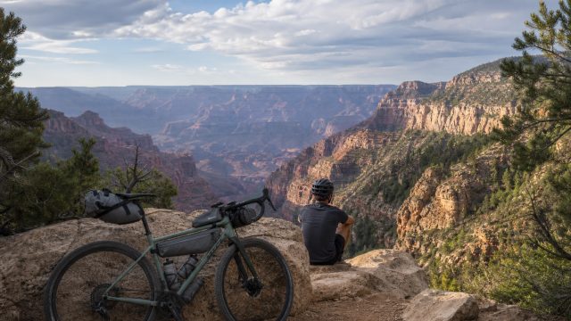 A Year Later: The Grand Canyon's Resilience After Last Year's Wildfire